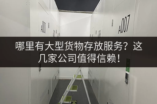 哪里有大型货物存放服务？这几家公司值得信赖！