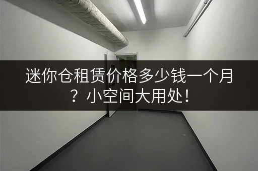 迷你仓租赁价格多少钱一个月？小空间大用处！