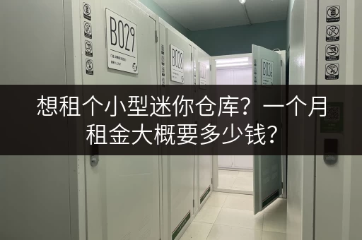 想租个小型迷你仓库？一个月租金大概要多少钱？