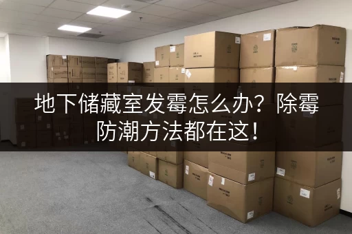 地下储藏室发霉怎么办？除霉防潮方法都在这！