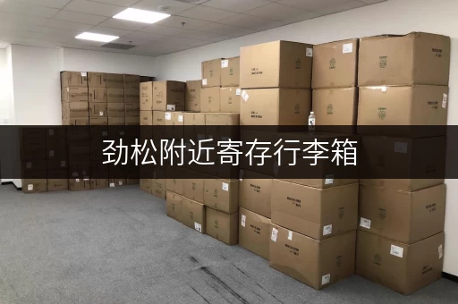 劲松附近寄存行李箱，靠谱的寄存点都在这里