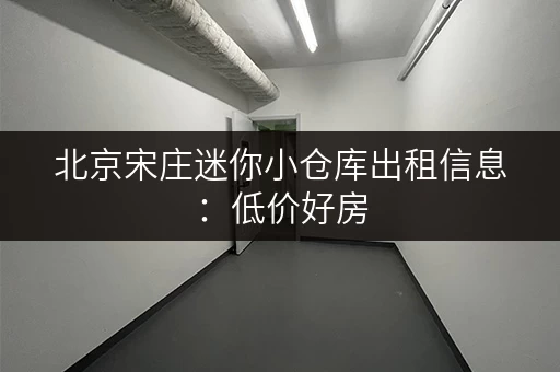 北京宋庄迷你小仓库出租信息：低价好房，随时入住！