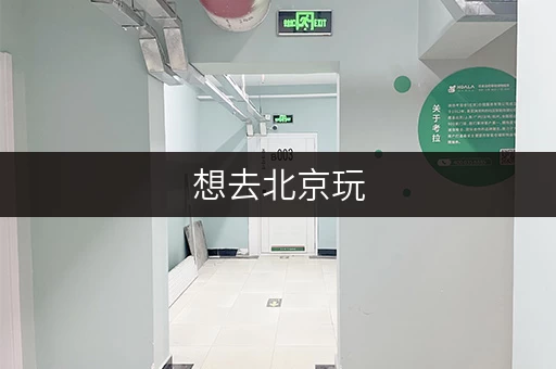 想去北京玩，景点行李寄存服务如何？有哪些选择？