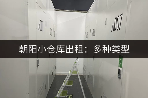 朝阳小仓库出租：多种类型，满足您的需求