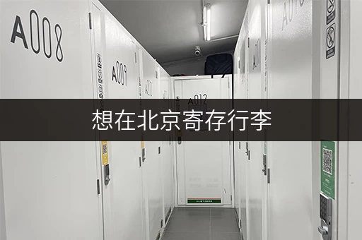 想在北京寄存行李，电脑能放吗？选择哪家更放心？