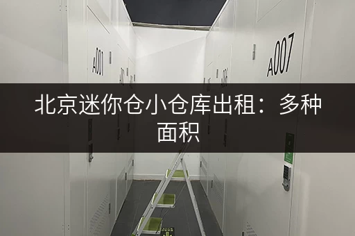 北京迷你仓小仓库出租：多种面积，满足您的不同需求
