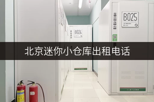 北京迷你小仓库出租电话，安全可靠，多种尺寸可选！