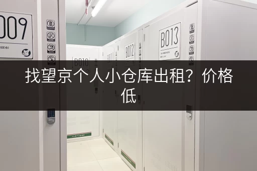 找望京个人小仓库出租？价格低，位置好，安全可靠，立即联系