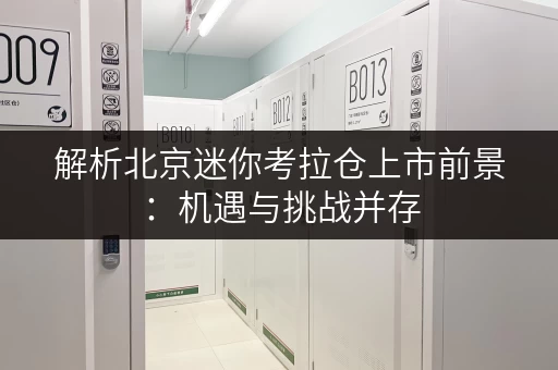 解析北京迷你考拉仓上市前景：机遇与挑战并存