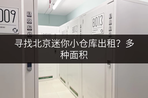 寻找北京迷你小仓库出租？多种面积，安全可靠