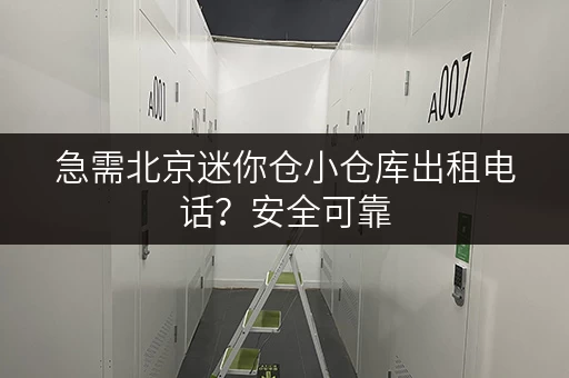 急需北京迷你仓小仓库出租电话？安全可靠，价格实惠，多种选择！