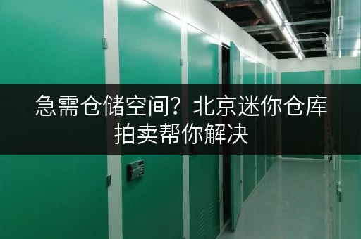 急需仓储空间？北京迷你仓库拍卖帮你解决