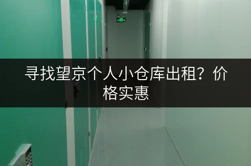 寻找望京个人小仓库出租？价格实惠，安全可靠，多种选择