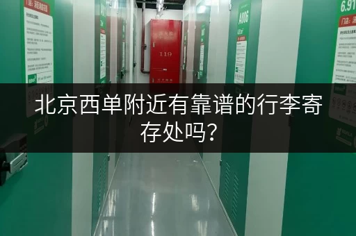 北京西单附近有靠谱的行李寄存处吗？