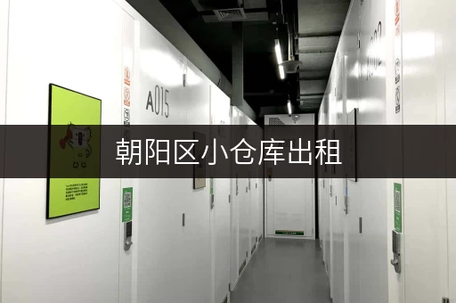 朝阳区小仓库出租，多种面积选择，拎包入住，月租日租皆可！