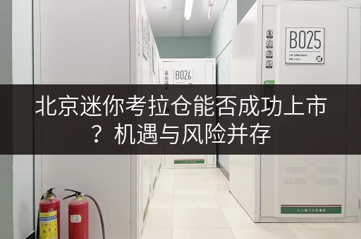 北京迷你考拉仓能否成功上市？机遇与风险并存