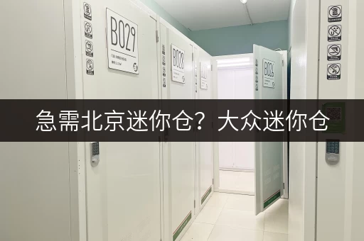急需北京迷你仓?大众迷你仓,随时租赁,方便省心! 急需北京迷你仓?大众迷你仓,随时租赁,方便省心!