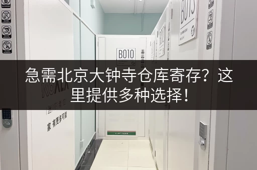 急需北京大钟寺仓库寄存？这里提供多种选择！