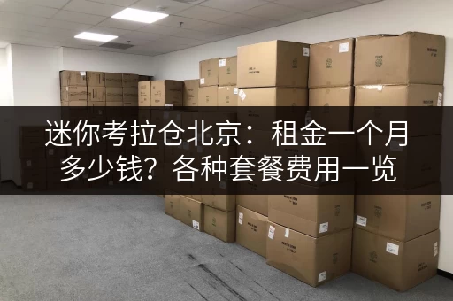 迷你考拉仓北京：租金一个月多少钱？各种套餐费用一览