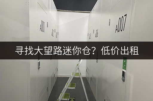 寻找大望路迷你仓？低价出租，安全可靠，拎包入住！