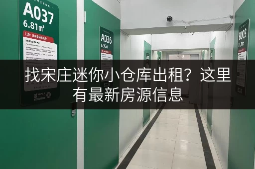 找宋庄迷你小仓库出租？这里有最新房源信息