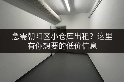急需朝阳区小仓库出租？这里有你想要的低价信息