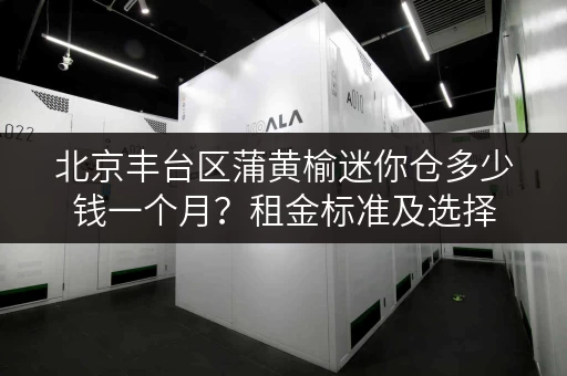 北京丰台区蒲黄榆迷你仓多少钱一个月？租金标准及选择