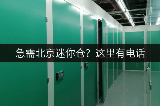 急需北京迷你仓？这里有电话，快速解决您的存储难题！