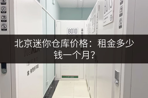 北京迷你仓库价格：租金多少钱一个月？