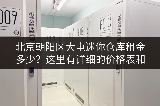 北京朝阳区大屯迷你仓库租金多少？这里有详细的价格表和仓库信息！