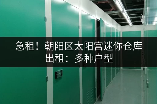 急租!朝阳区太阳宫迷你仓库出租:多种户型,随时看房,快速入住 急租!朝阳区太阳宫迷你仓库出租:多种户型,随时看房,快速入住