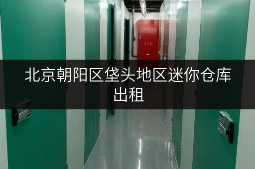 北京朝阳区垡头地区迷你仓库出租，多种面积选择！
