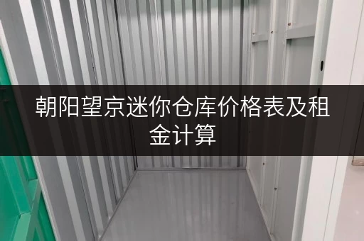 朝阳望京迷你仓库价格表及租金计算，帮你省钱！