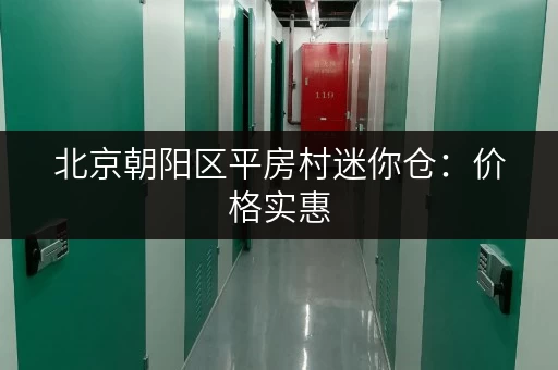 北京朝阳区平房村迷你仓：价格实惠，空间灵活，多种选择