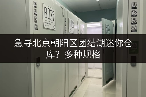 急寻北京朝阳区团结湖迷你仓库？多种规格，立即预约看房！
