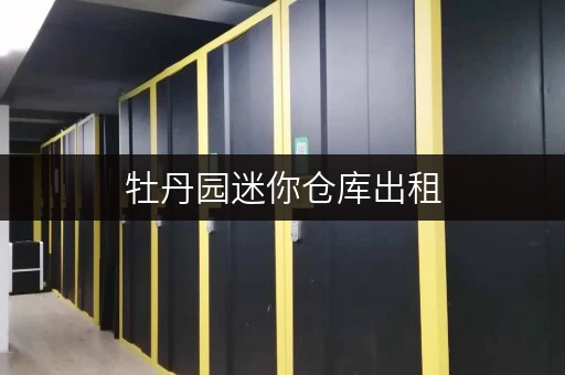 牡丹园迷你仓库出租，北京海淀区，安全可靠，拎包入住！