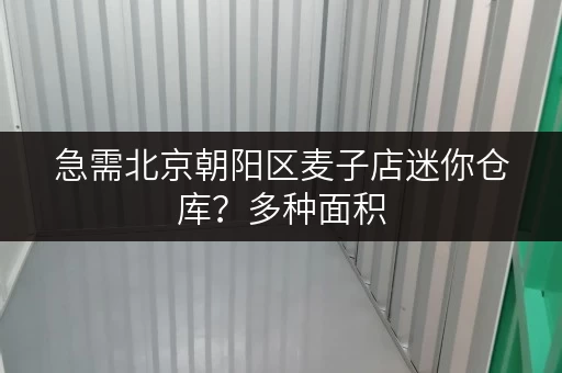 急需北京朝阳区麦子店迷你仓库？多种面积，任您挑选