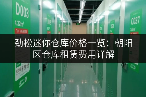 劲松迷你仓库价格一览：朝阳区仓库租赁费用详解