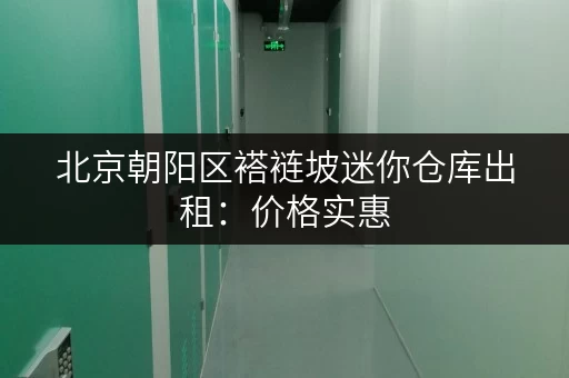 北京朝阳区褡裢坡迷你仓库出租：价格实惠，方便快捷