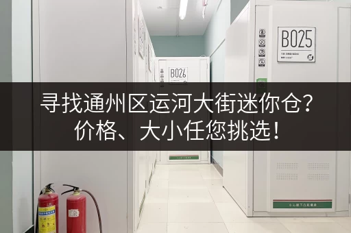 寻找通州区运河大街迷你仓？价格、大小任您挑选！