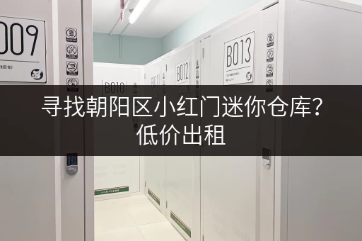 寻找朝阳区小红门迷你仓库？低价出租，位置优越！