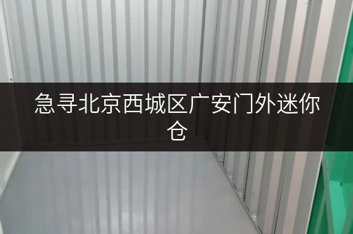 急寻北京西城区广安门外迷你仓，价格优惠，面积大小可选？