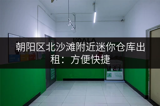 朝阳区北沙滩附近迷你仓库出租：方便快捷，满足您的需求