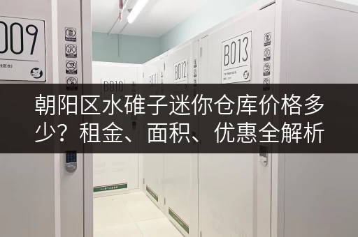朝阳区水碓子迷你仓库价格多少？租金、面积、优惠全解析
