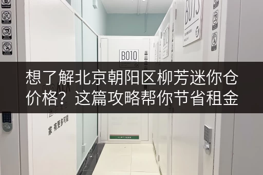 想了解北京朝阳区柳芳迷你仓价格?这篇攻略帮你节省租金! 想了解北京朝阳区柳芳迷你仓价格?这篇攻略帮你节省租金!