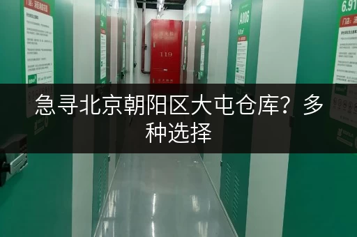 急寻北京朝阳区大屯仓库？多种选择，立即联系我们