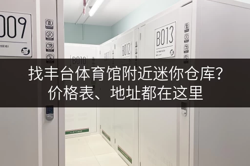 找丰台体育馆附近迷你仓库？价格表、地址都在这里