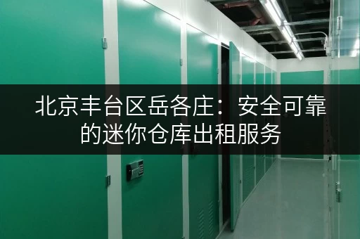北京丰台区岳各庄：安全可靠的迷你仓库出租服务