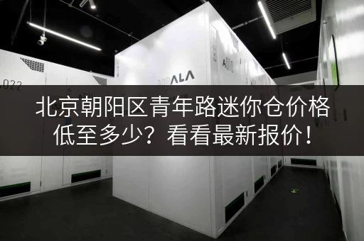 北京朝阳区青年路迷你仓价格低至多少？看看最新报价！