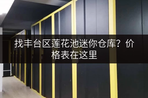找丰台区莲花池迷你仓库？价格表在这里，帮你省钱又省心！